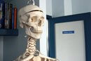 esqueleto no consultório